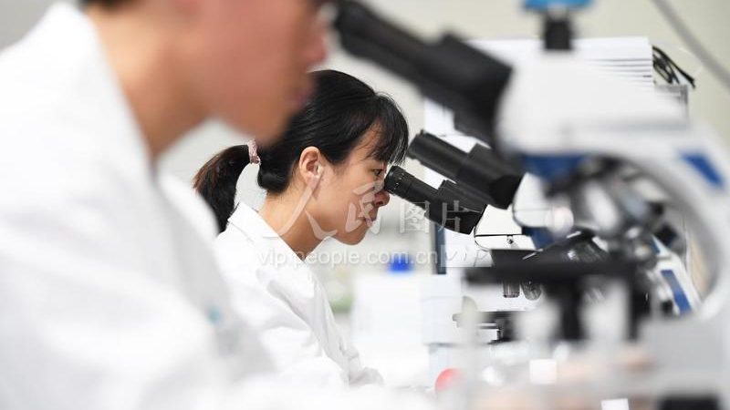实验室耗材：如何选择合适的批发供应商