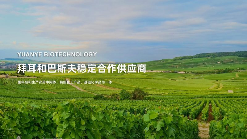 细胞培养液配制：揭秘实验室中的关键器材**