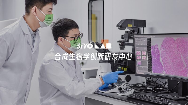 CDMO代理加盟：揭秘背后的价格之谜