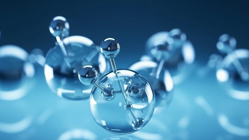 细胞培养实验方案：构建高效科研的基石**