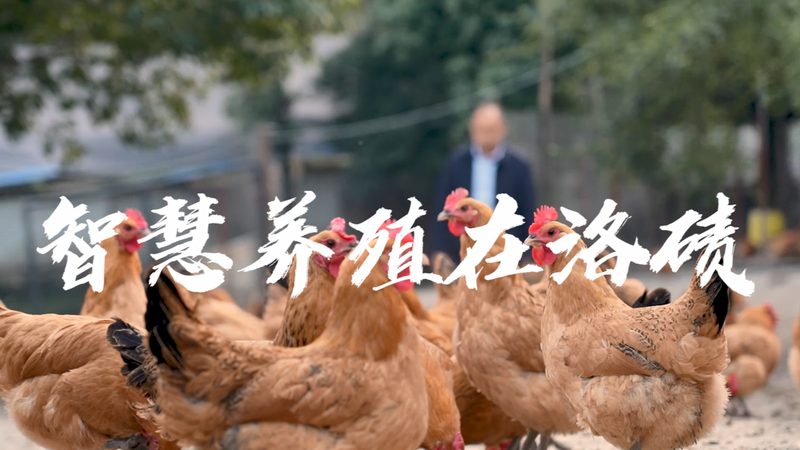 生物科技公司研发方向：如何把握趋势与合规**