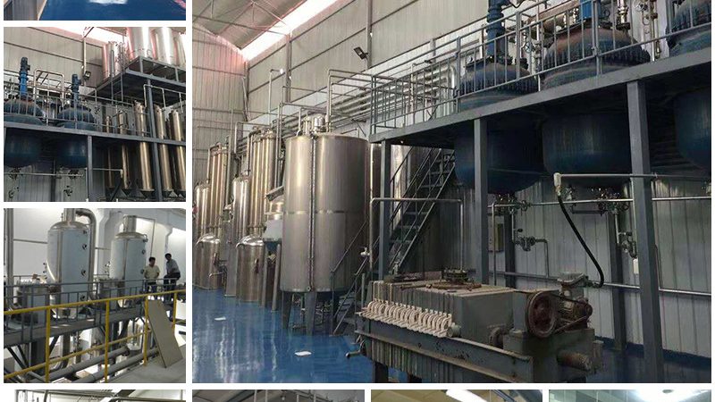 细胞工厂生产资质办理：关键步骤与注意事项**