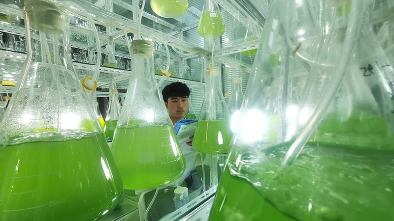 定制化抗体在生物医药研发中的关键作用**